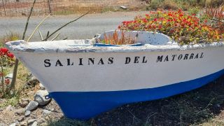 2024-03-Salinas_del_Matorral-02.jpg